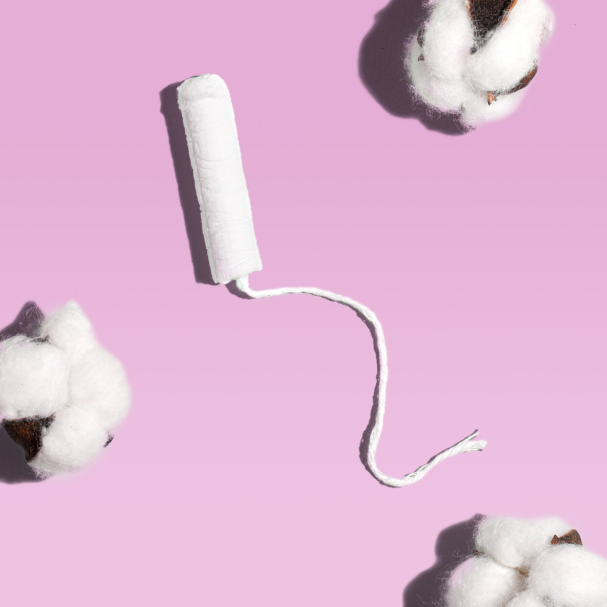 Regular Compact Tampons Made With Organic Cotton